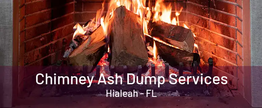 Chimney Ash Dump Services Hialeah - FL