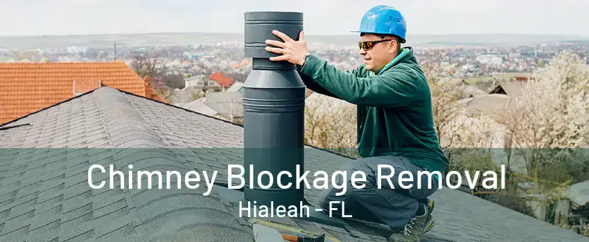 Chimney Blockage Removal Hialeah - FL