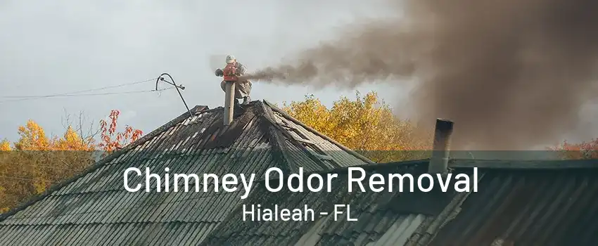 Chimney Odor Removal Hialeah - FL