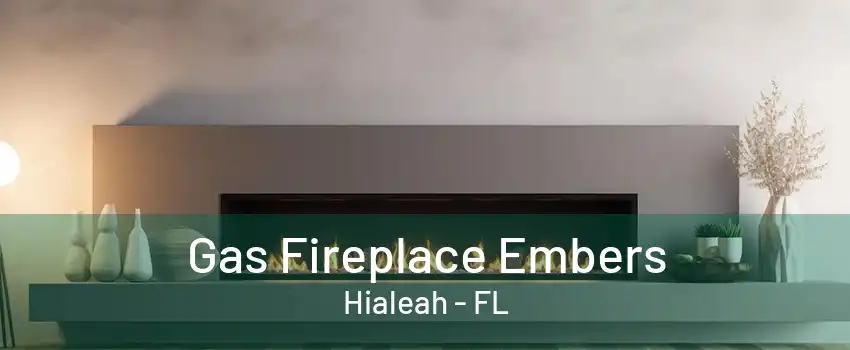 Gas Fireplace Embers Hialeah - FL